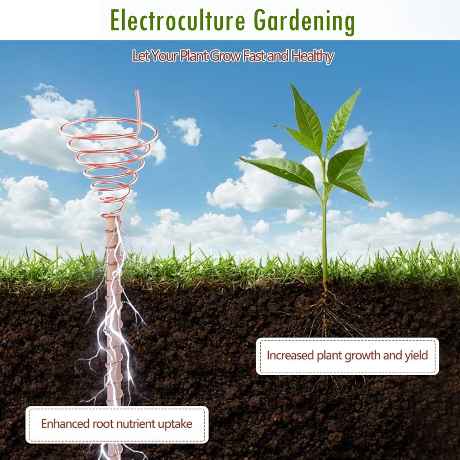 20m/65ft Electroculture Garden - Dowel Jig Kit 评论和价格